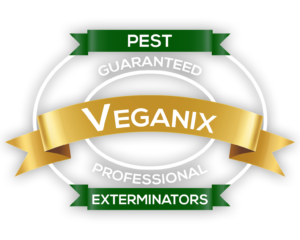 Veganix-Logo-Green-White-1536x1229